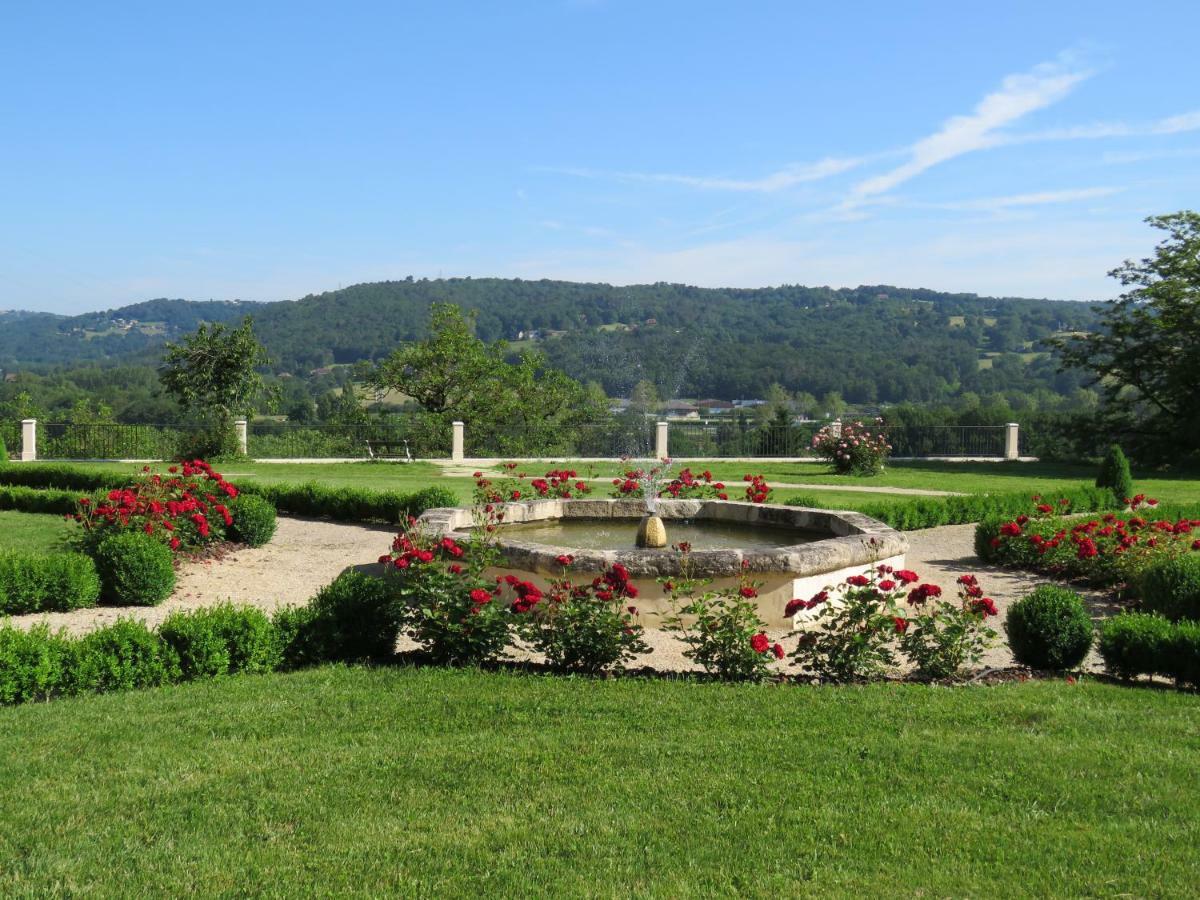 Chateau De Gaubert Bed and Breakfast Terrasson Buitenkant foto
